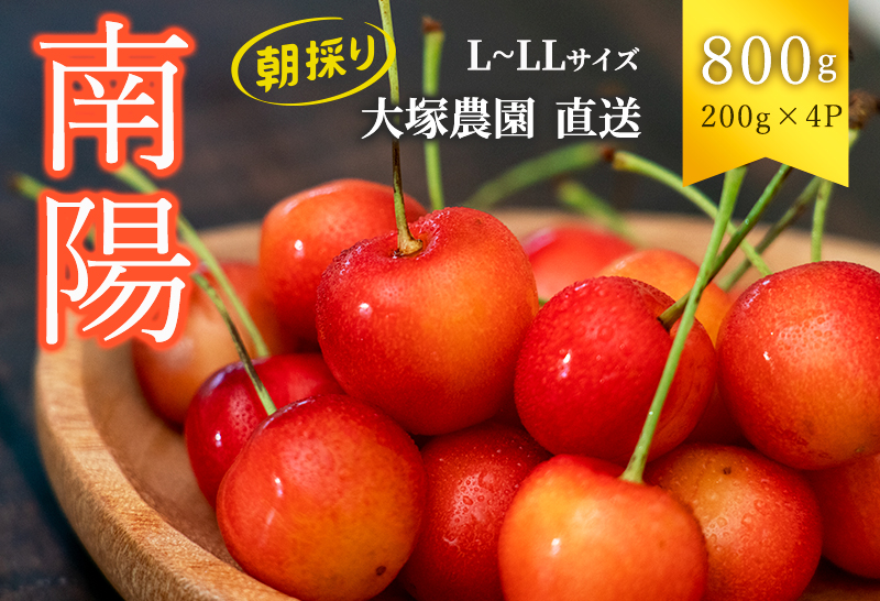 先行予約 大塚農園 さくらんぼ【 南陽 】800g（200g×4）サクランボ フルーツ