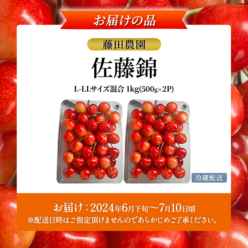 先行受付 北海道 仁木町産 さくらんぼ 佐藤錦 1kg (500g×2)  藤田農園 サクランボ 果物 フルーツ チェリー  仁木