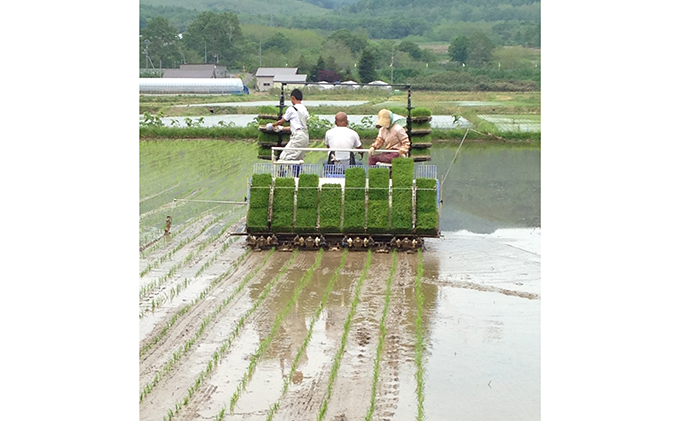 仁木町「ななつぼし」定期便（毎月5kg発送/全3回）