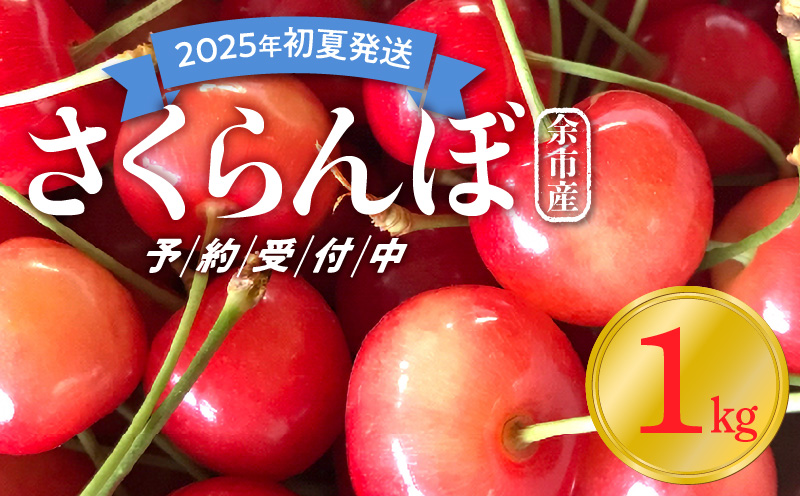 【2025年初夏発送】さくらんぼ 毎年大好評！こだわりの東谷農園 余市産 さくらんぼ 1kg_Y037-0328