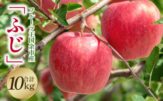【2025年11月下旬より発送】フルーツ王国余市産「ふじ」10kg【ニトリ観光果樹園】_Y074-0152