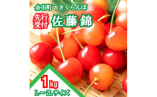 2025年発送【先行予約】令和7年産 佐藤錦【Ｌ～2Lサイズ】1Kg【すこやか自然農園】_Y139-0001