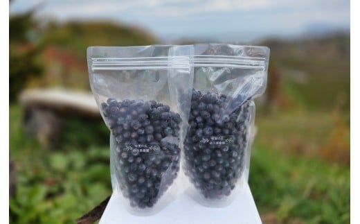 余市の砂川果樹園が贈る 訳あり冷凍ブルーベリー1Kg_Y033-0037