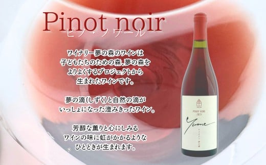 ãæ°ééå®ãäœåžãã¯ã€ããªãŒå€¢ã®æ£®ãããã»ãã¯ãŒã«2023&ãªãŒãã«ç€Ÿè£œããŽå
¥ãã¯ã€ã³ã°ã©ã¹_Y034-0113