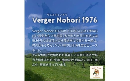 余市町 ナイアガラワイン 2023 750ml×1本 Verger Nobori 1976 辛口白ワイン 余市町登町 マスカットの香り ナイアガラ ワイン 白ワイン 北海道 送料無料_Y103-0030