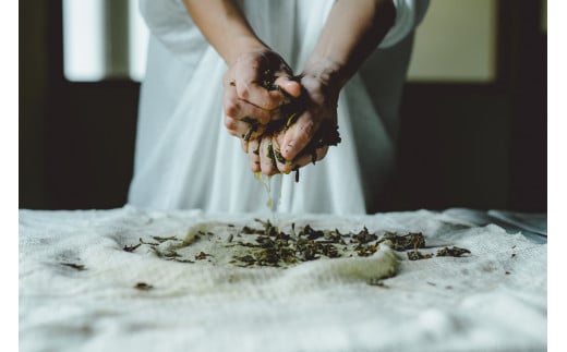 ã¢ã³ã¬ã¯è°·ã¯ã€ããªãŒ 3çš®ã®ã¶ã©ãã®èã䜿ã£ããã£ãŒã«ããã¬ã³ãåæµ·éTEA_Y037-0333