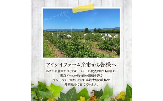 【先行予約：2024年12月以降発送】冷凍ブルーベリー 500g×2袋（チャック付き袋）_Y111-0005