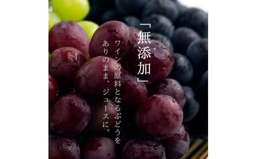 ç¡æ·»å 100ïŒ
ã¹ãã¬ãŒã ã¶ã©ããžã¥ãŒã¹ 180ml ã«ãã«ã 1æ¬ å®èžèŸ²å_Y067-0151