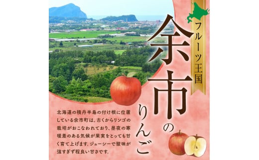 【先行受付：2024年10月10日～10月31日発送】フルーツ王国余市産「早生ふじ」訳あり規格外品5kg【ニトリ観光果樹園】_Y074-0107