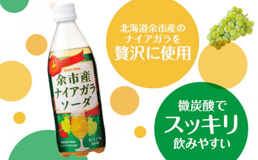 セコマ 北海道余市産 ナイアガラソーダ 500ml 24本入　炭酸飲料_Y020-0675