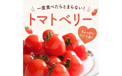 【先行予約2026年7月】子供も大好き！まるでフルーツ！ハート型 トマトベリー 4kg  樹上完熟 果肉たっぷりジューシー_Y124-0025