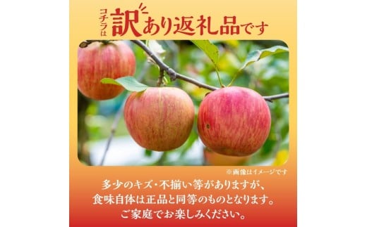 ã2025幎11æäžæ¬ããçºéããã«ãŒãçåœäœåžç£èš³ããããµãã3kgããããªèгå
ææš¹åã_Y074-0153