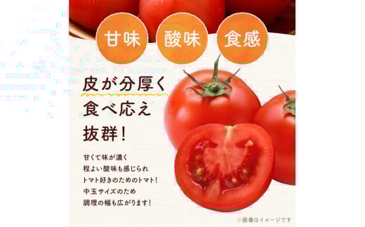 ãå
è¡äºçŽïŒ2026幎7æäžæ¬é ããçºéãNicoFarm ãã¡ã³ãŽããïŒäžçãããïŒ1Kg_Y124-0017