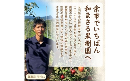 余市町 ナイアガラワイン ペティアン 2023  750ml×1本 Verger Nobori 1976 辛口微発泡白ワイン 余市町登町 マスカット 瓶内二次発酵 ナイアガラ ワイン 白ワイン 北海道 送料無料_Y103-0031