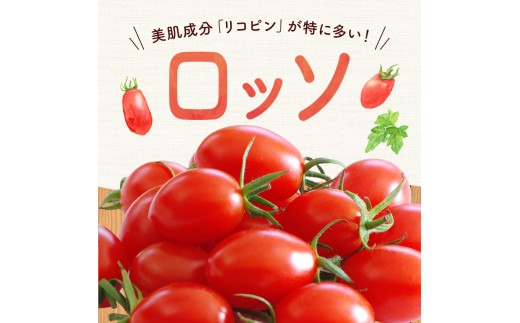 【先行予約2026年7月】子供も大好き！フルーツのように甘いミニトマト2種 各1.5kg トマトベリー & Nicoロッソ_Y124-0022