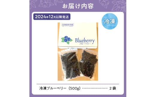 【先行予約：2024年12月以降発送】冷凍ブルーベリー 500g×2袋（チャック付き袋）_Y111-0005