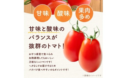 【先行予約2026年7月】おやつに最適！ 甘くてジューシー！ Nicoロッソ 4kg ヘタなしミニトマト  甘くて果肉たっぷり_Y124-0026