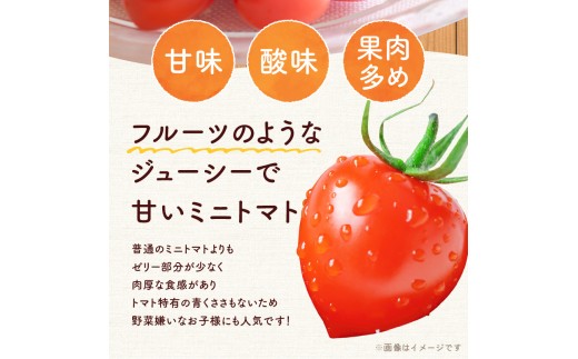 【先行予約2026年7月】子供も大好き！まるでフルーツ！ハート型 トマトベリー 4kg  樹上完熟 果肉たっぷりジューシー_Y124-0025