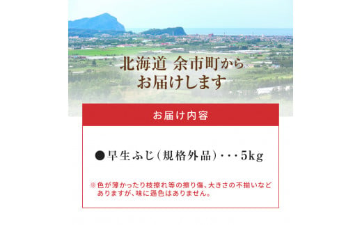 【先行受付：2024年10月10日～10月31日発送】フルーツ王国余市産「早生ふじ」訳あり規格外品5kg【ニトリ観光果樹園】_Y074-0107