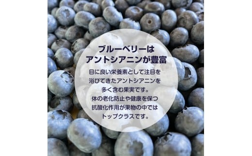 【先行予約：2026年8月中旬以降発送】【余市産無農薬】冷凍ブルーベリー 残留農薬検査済み 2026年収穫_Y155-0002