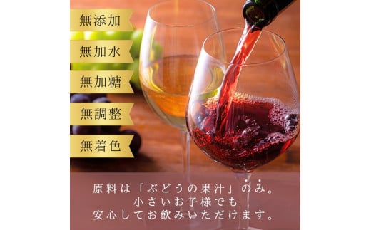 ç¡æ·»å 100ïŒ
ã¹ãã¬ãŒã ã¶ã©ããžã¥ãŒã¹ 710ml ã«ãã«ã 1æ¬ å®èžèŸ²å_Y067-0149