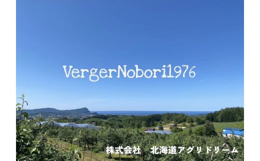 【先行予約2025年8月下旬より発送】＜北海道余市産＞桃「あかつき」2kg（6～10玉）_Y103-0017