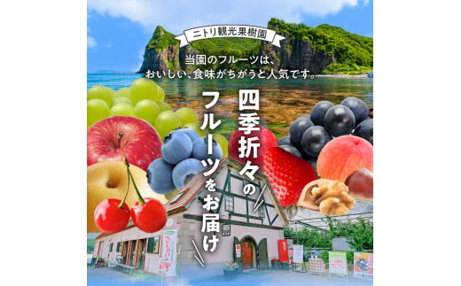 【先行受付：2024年10月10日～10月31日発送】フルーツ王国余市産「早生ふじ」訳あり規格外品5kg【ニトリ観光果樹園】_Y074-0107