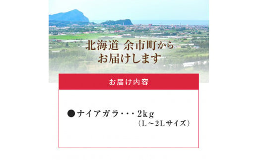 【先行予約：2025年9月中旬以降発送】フルーツ王国余市産「ナイアガラ」2kg【ニトリ観光果樹園】_Y074-0125