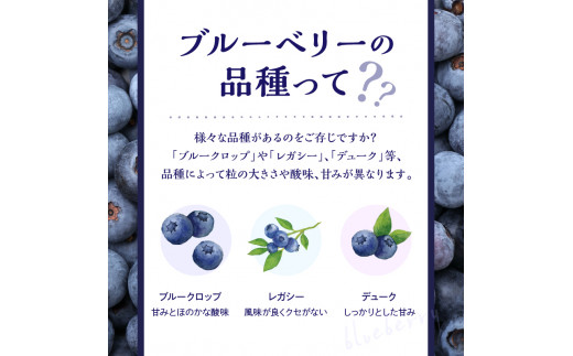 【先行予約：2025年7月25日以降発送】青果ブルーベリーおまかせ２品種食べ比べセット1Kg（500g×2パック）＜アイケイファーム余市＞_Y111-0004