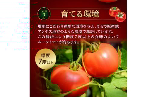 ガスパチョとまと　1,000ml×6本セット 果汁100％ トマト トマトジュース 冷製スープ ガスパチョ 余市 フルーツトマト 桃太郎 糖度7度以上 無加水栽培 過酷環境栽培 アンデス農法 1000ml 寒暖差 スープ ピューレー 自然栽培 瓶詰め 送料無料 北海道 余市町 トマトジュース_Y144-0006