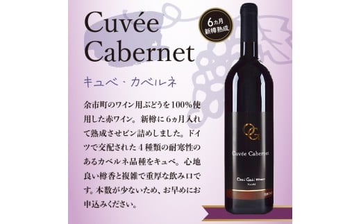 【OcciGabi Winery】赤ワイン飲みくらべ4本セット OcciGabi Winery 赤ワイン 飲み比べ4本セット スパークリングワイン_Y012-0112