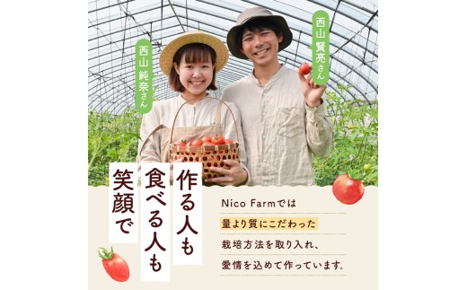 【定期便全6回】NicoFarm トマトジュース 1L×6本×6回_Y124-0034