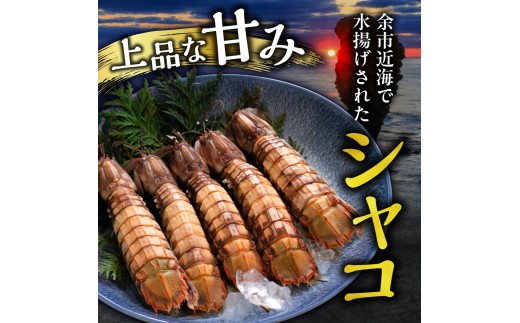 縲千佐繧後◆縺ヲ縺ョ蜻ウシ√代懊ち繝ウ繧ィ繝300g繝サ逕倥お繝300g繝サ繝懊う繝ォ繧キ繝」繧ウ300g 3遞ョ繧サ繝繝 迯イ繧後◆縺ヲ諤・騾溷キ蜃 蛹玲オキ驕謎ス吝クりソ第オキ 豬キ魄ョ 豬キ縺ョ蟷ク 雜菴取クゥ蜀キ蜃 魄ョ蠎ヲ謚懃セ、 蛻コ霄ォ逕ィ 鬟溘∋豈斐∋ 隧ー繧∝粋繧上○_Y022-0028