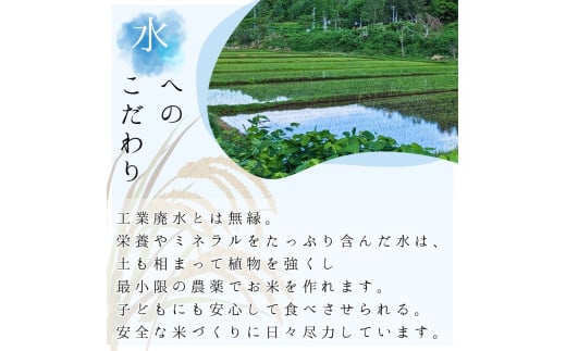 【定期便全6回】【順次発送中】◇令和6年産 新米◇木露ファーム 余市産 ゆめぴりか(玄米) 3kg_Y067-0176