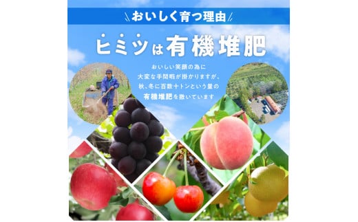 【先行受付：2024年10月10日～10月31日発送】フルーツ王国余市産「早生ふじ」訳あり規格外品5kg【ニトリ観光果樹園】_Y074-0107