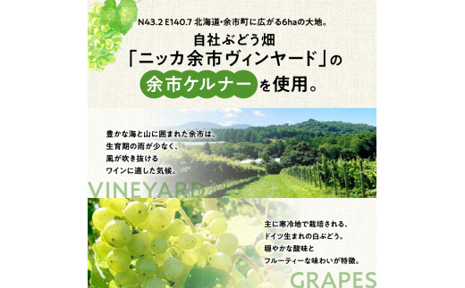 【ふるさと納税】 数量限定 ＆ 北海道限定 N・Y・V （エヌ・ワイ・ブイ） 余市ケルナー 2022 白ワイン 辛口 ニッカ余市ヴィンヤード  ワイン  贈り物  ギフト  プレゼント _Y090-0014