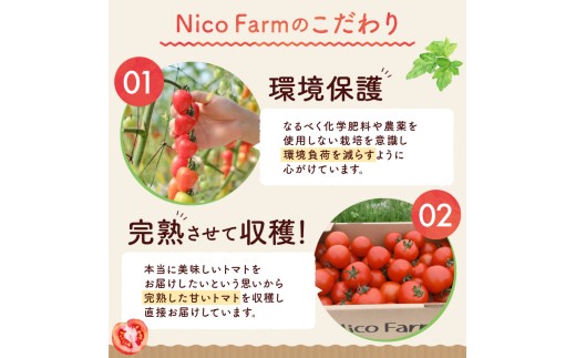 ãå®æäŸ¿å
š6åãNicoFarm ããããžã¥ãŒã¹ 1LÃ12æ¬Ã6å_Y124-0035