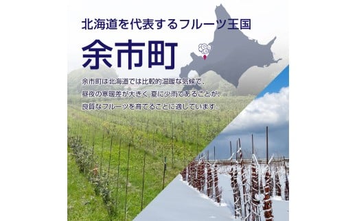 【先行予約：2026年8月中旬以降発送】【余市産無農薬】冷凍ブルーベリー 残留農薬検査済み 2026年収穫_Y155-0002