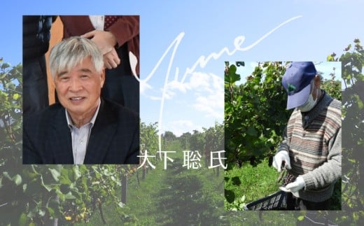 【数量限定】余市「ワイナリー夢の森」ケルナー2023 750ml_Y034-0111