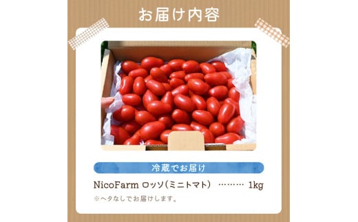 ãå
è¡äºçŽïŒ2026幎7æäžæ¬é ããçºéãNicoFarm NicoãããœïŒãããããïŒ1Kg_Y124-0014
