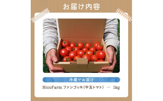 ãå
è¡äºçŽïŒ2026幎7æäžæ¬é ããçºéãNicoFarm ãã¡ã³ãŽããïŒäžçãããïŒ1Kg_Y124-0017