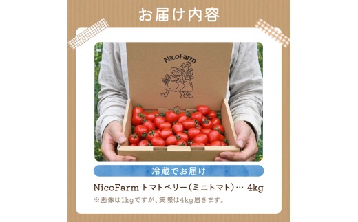 【先行予約2026年7月】子供も大好き！まるでフルーツ！ハート型 トマトベリー 4kg  樹上完熟 果肉たっぷりジューシー_Y124-0025