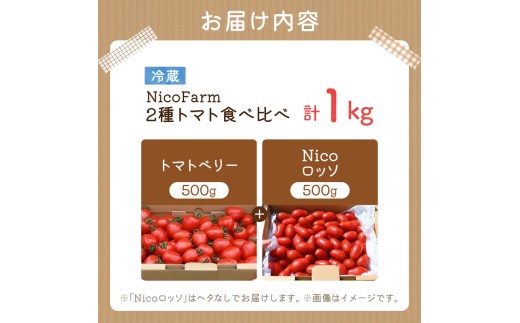 【先行予約2026年7月】子供も大好き！フルーツのように甘いミニトマト2種 各500g トマトベリー & Nicoロッソ_Y124-0020