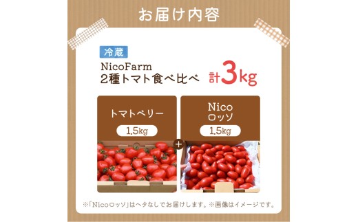 【先行予約2026年7月】子供も大好き！フルーツのように甘いミニトマト2種 各1.5kg トマトベリー & Nicoロッソ_Y124-0022
