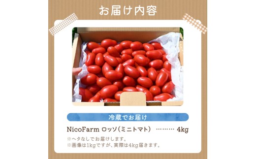 【先行予約2026年7月】おやつに最適！ 甘くてジューシー！ Nicoロッソ 4kg ヘタなしミニトマト  甘くて果肉たっぷり_Y124-0026