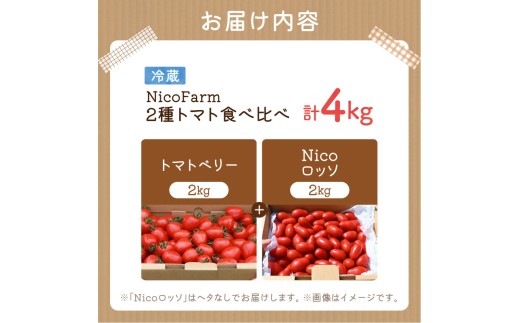 【先行予約2026年7月】子供も大好き！フルーツのように甘いミニトマト2種 各2kg トマトベリー & Nicoロッソ_Y124-0023