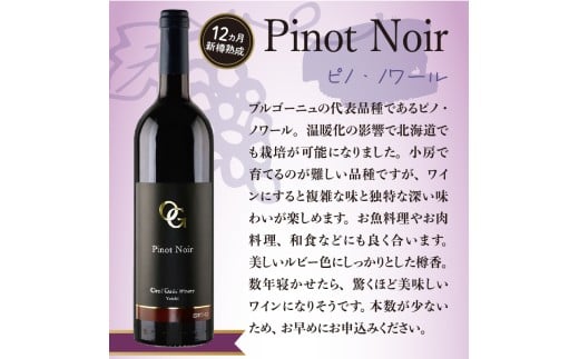 【定期便6回】【OcciGabi Winery】赤ワイン飲みくらべ定期便 OcciGabi Winery 赤ワイン 定期便 1本×6ヶ月【ワイン】_Y012-0113