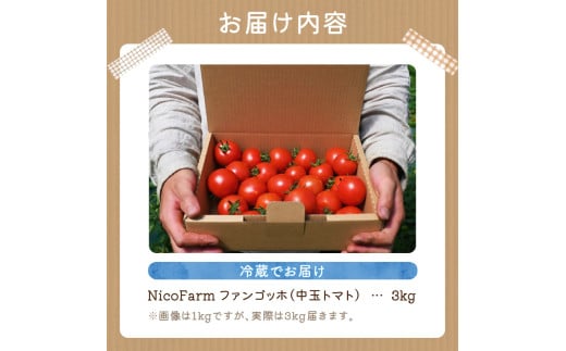 ãå
è¡äºçŽïŒ2026幎7æäžæ¬é ããçºéãNicoFarm ãã¡ã³ãŽããïŒäžçãããïŒ3Kg_Y124-0019