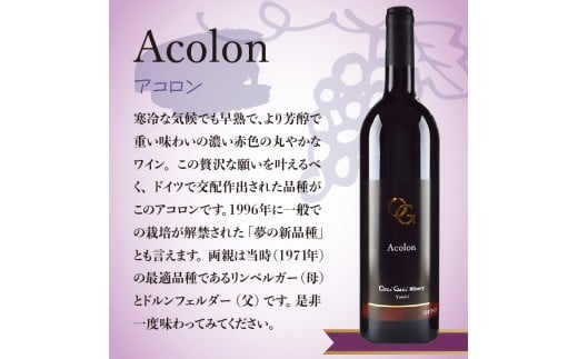 【定期便6回】【OcciGabi Winery】赤ワイン飲みくらべ定期便 OcciGabi Winery 赤ワイン 定期便 1本×6ヶ月【ワイン】_Y012-0113