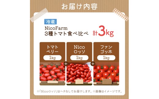 【先行予約2026年7月】樹上完熟！トマト3種食べ比べ 各1kg ミニ・中玉セット トマトベリー・Nicoロッソ・ファンゴッホ_Y124-0024